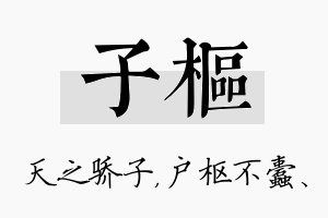 子枢名字的寓意及含义