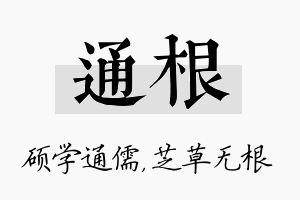 通根名字的寓意及含义