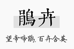 鹃卉名字的寓意及含义