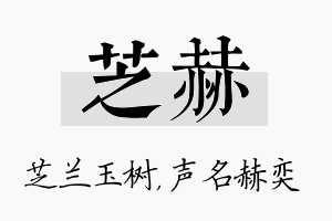 芝赫名字的寓意及含义