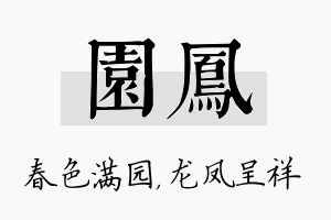 园凤名字的寓意及含义