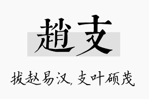 赵支名字的寓意及含义