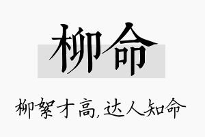 柳命名字的寓意及含义