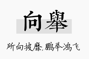 向举名字的寓意及含义