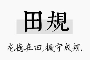 田规名字的寓意及含义