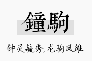 钟驹名字的寓意及含义