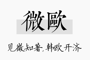 微欧名字的寓意及含义