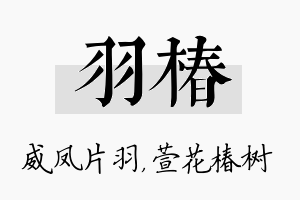 羽椿名字的寓意及含义