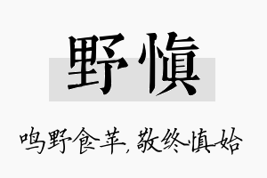 野慎名字的寓意及含义