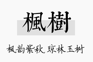 枫树名字的寓意及含义