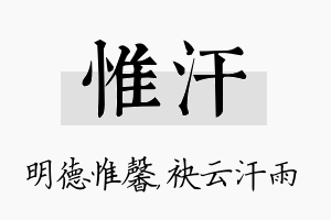 惟汗名字的寓意及含义