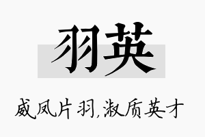 羽英名字的寓意及含义