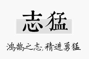 志猛名字的寓意及含义