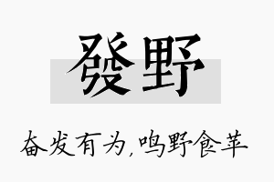 发野名字的寓意及含义