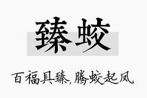 臻蛟名字的寓意及含义