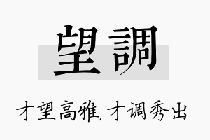 望调名字的寓意及含义