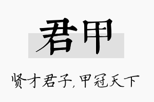 君甲名字的寓意及含义