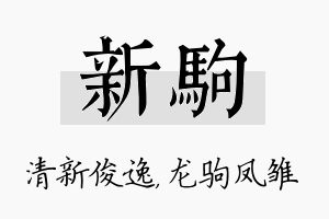 新驹名字的寓意及含义