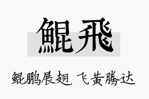 鲲飞名字的寓意及含义