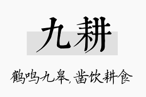 九耕名字的寓意及含义