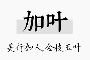 加叶名字的寓意及含义