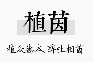 植茵名字的寓意及含义