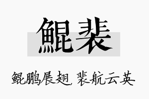 鲲裴名字的寓意及含义