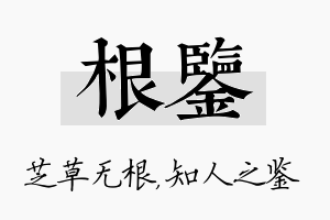 根鉴名字的寓意及含义