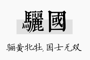 骊国名字的寓意及含义