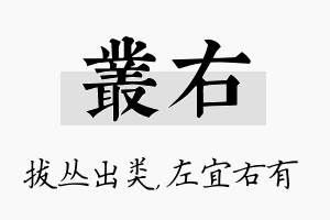 丛右名字的寓意及含义