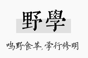 野学名字的寓意及含义