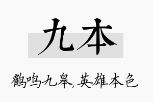 九本名字的寓意及含义