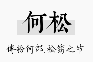 何松名字的寓意及含义