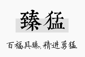 臻猛名字的寓意及含义