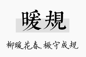 暖规名字的寓意及含义