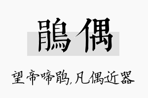 鹃偶名字的寓意及含义