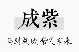 成紫名字的寓意及含义