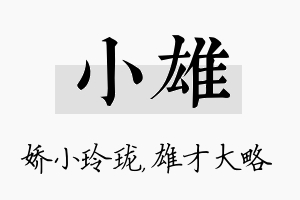 小雄名字的寓意及含义