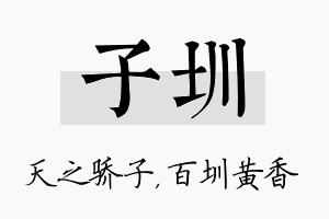 子圳名字的寓意及含义