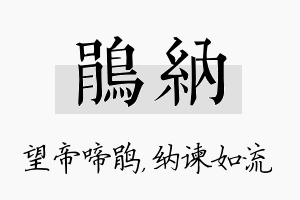 鹃纳名字的寓意及含义