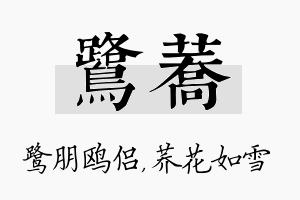 鹭荞名字的寓意及含义