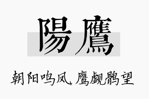 阳鹰名字的寓意及含义