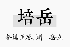 培岳名字的寓意及含义