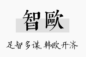 智欧名字的寓意及含义