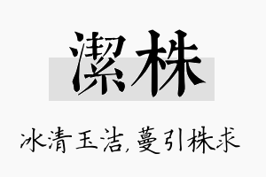 洁株名字的寓意及含义