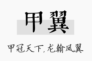 甲翼名字的寓意及含义