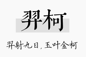 羿柯名字的寓意及含义