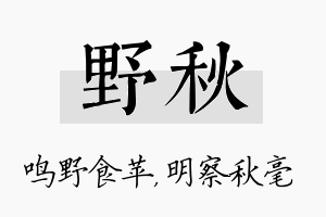 野秋名字的寓意及含义