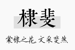 棣斐名字的寓意及含义