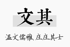 文其名字的寓意及含义